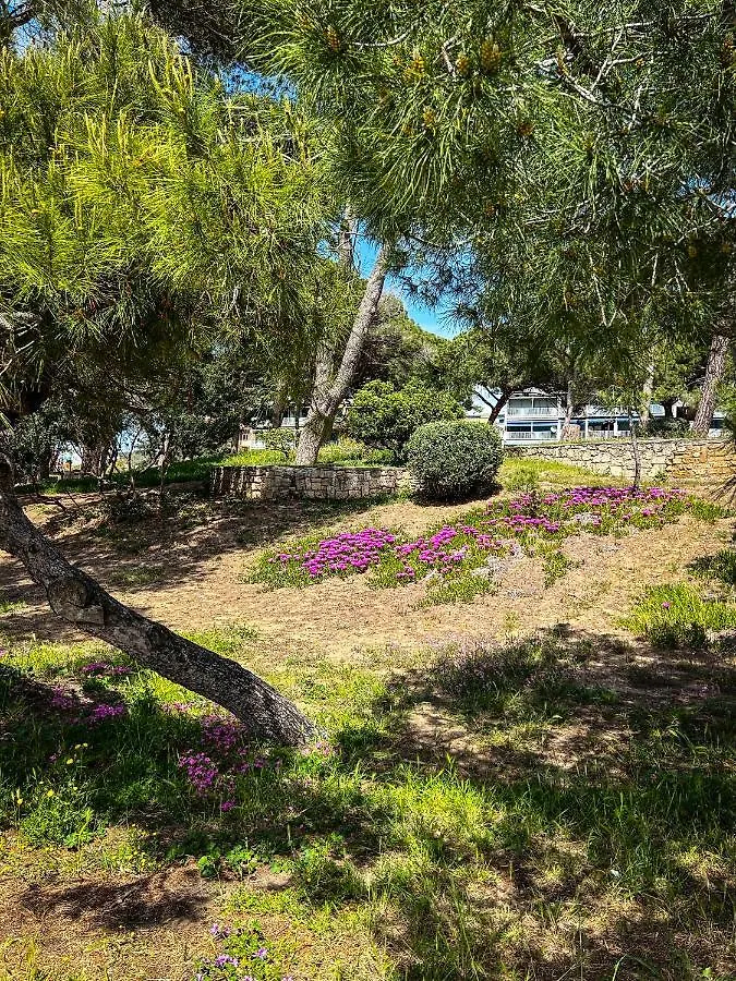 Casa Pinolo Monolocale Vista Mare Apartment Follonica